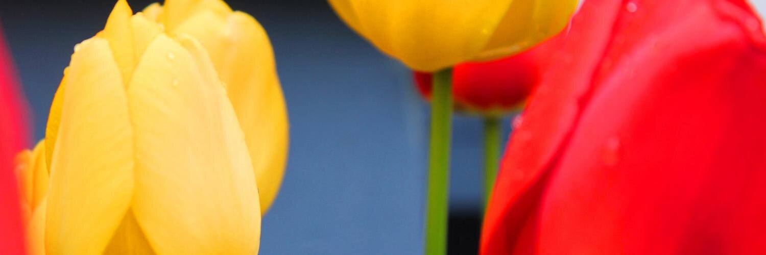 tenektech's profile banner image