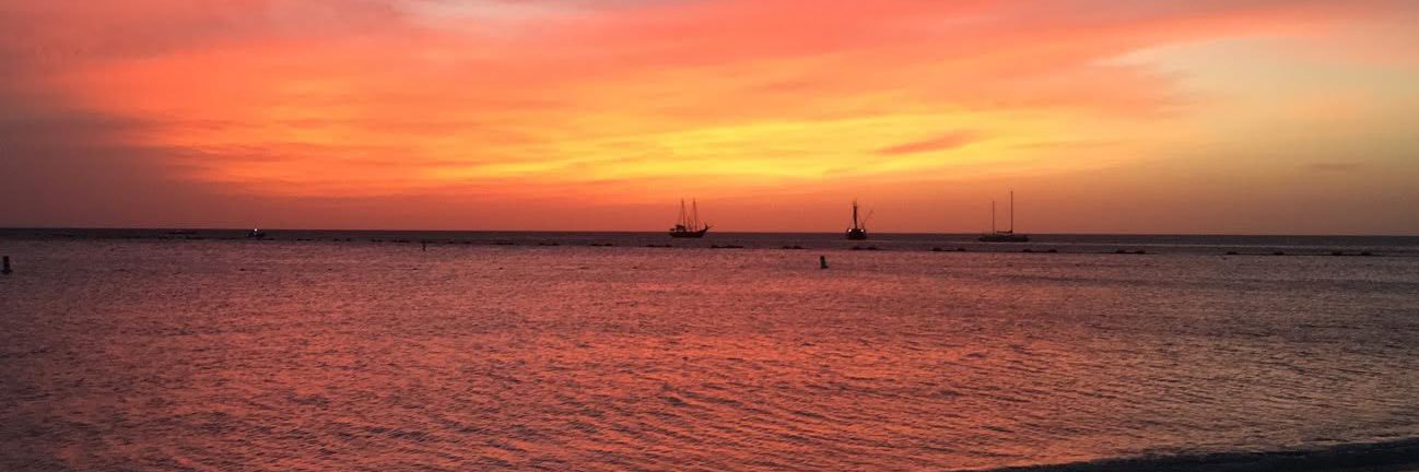 Stacey Swider banner