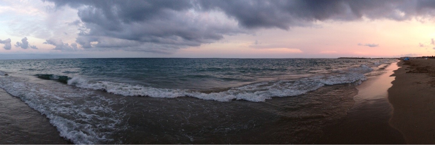 Черепаха с Омаха banner