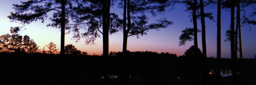 tlhansel13's profile banner image