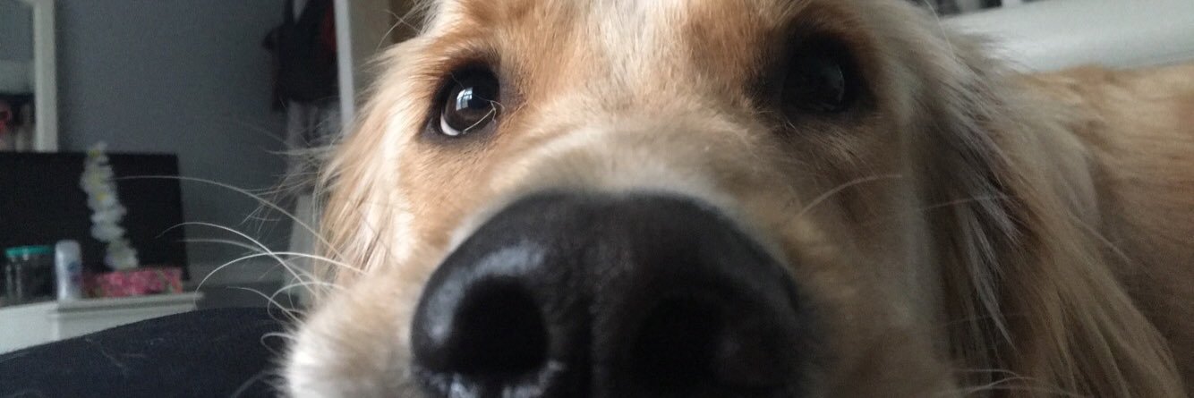 _carolinem11_'s profile banner image