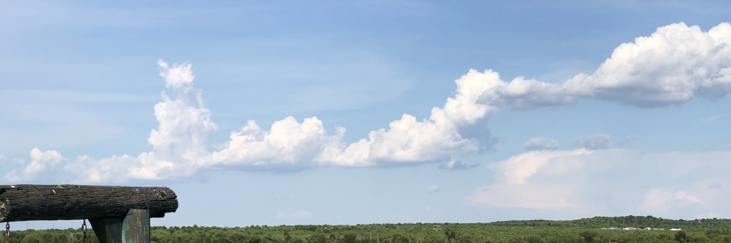 dalilabell1's profile banner image