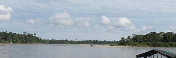 Calloquispe Profile Banner
