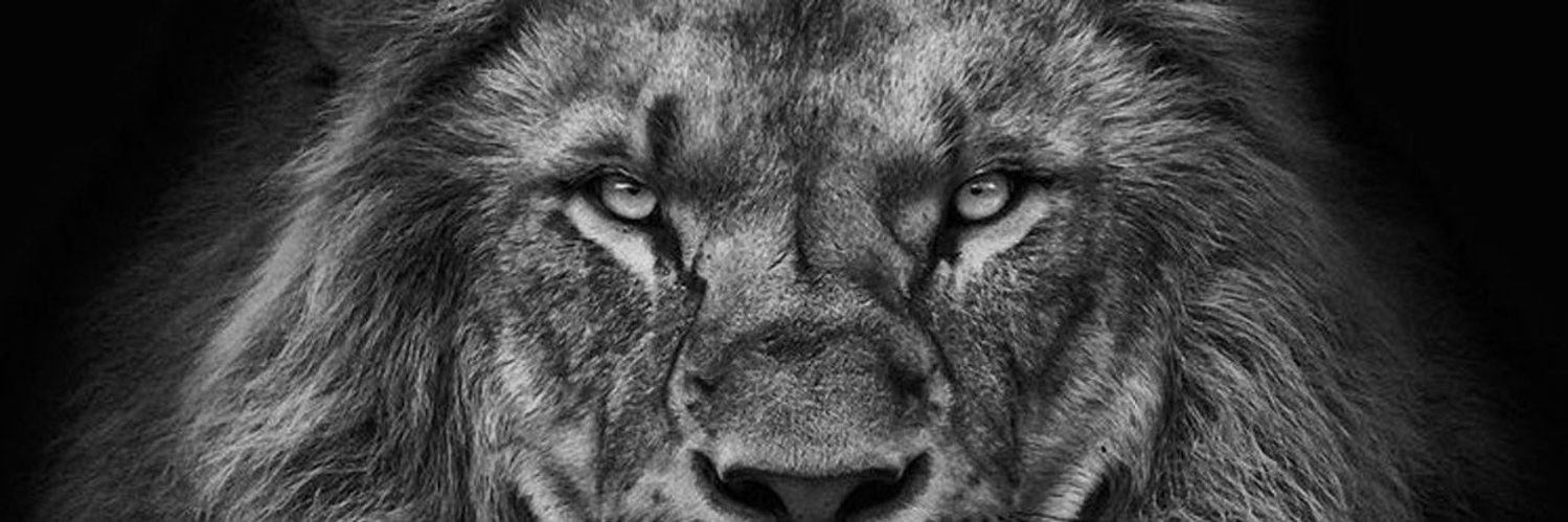 juanspf's profile banner image