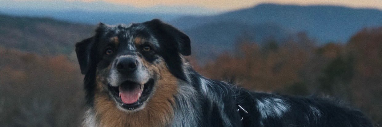 TilleyMadison's profile banner image