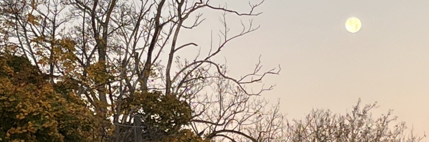 brab608's profile banner image
