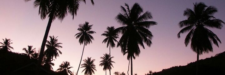 85_melany's profile banner image