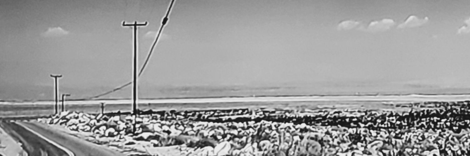 WatermelonSugar's profile banner image