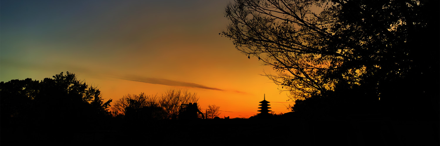 pl3582's profile banner image