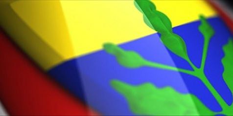 turang41's profile banner image