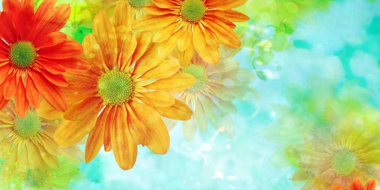 ValerieLaurijse's profile banner image