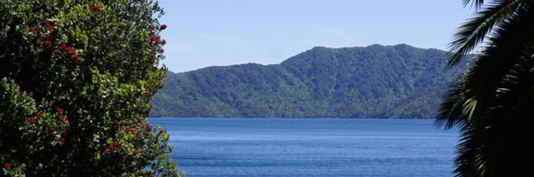 Christopher Bowen banner