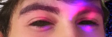 bicho do mato 🛸⃤ . banner