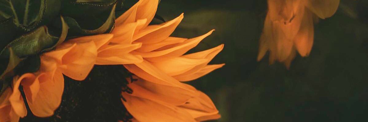 SassySort's profile banner image