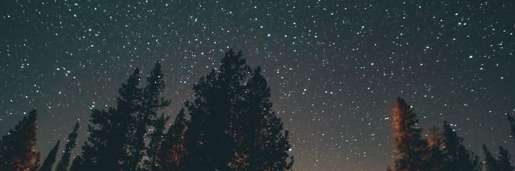 orchalwen's profile banner image