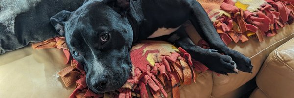 upnorthmag Profile Banner