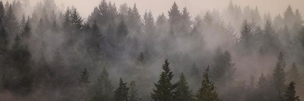 gxo's profile banner image