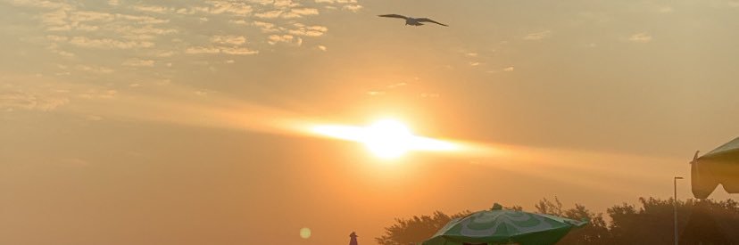 haifowss's profile banner image