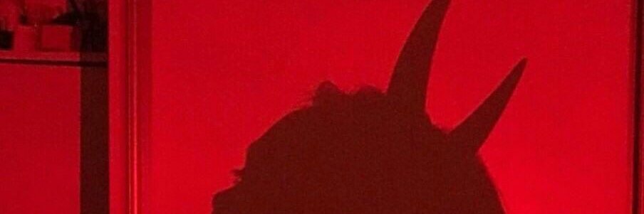 𝒻𝓇𝒶𝓃𝒸𝒽𝑒𝓈𝒸𝒶 banner