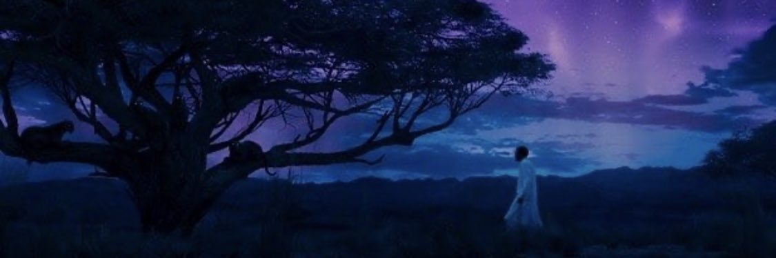 MMockobee10's profile banner image