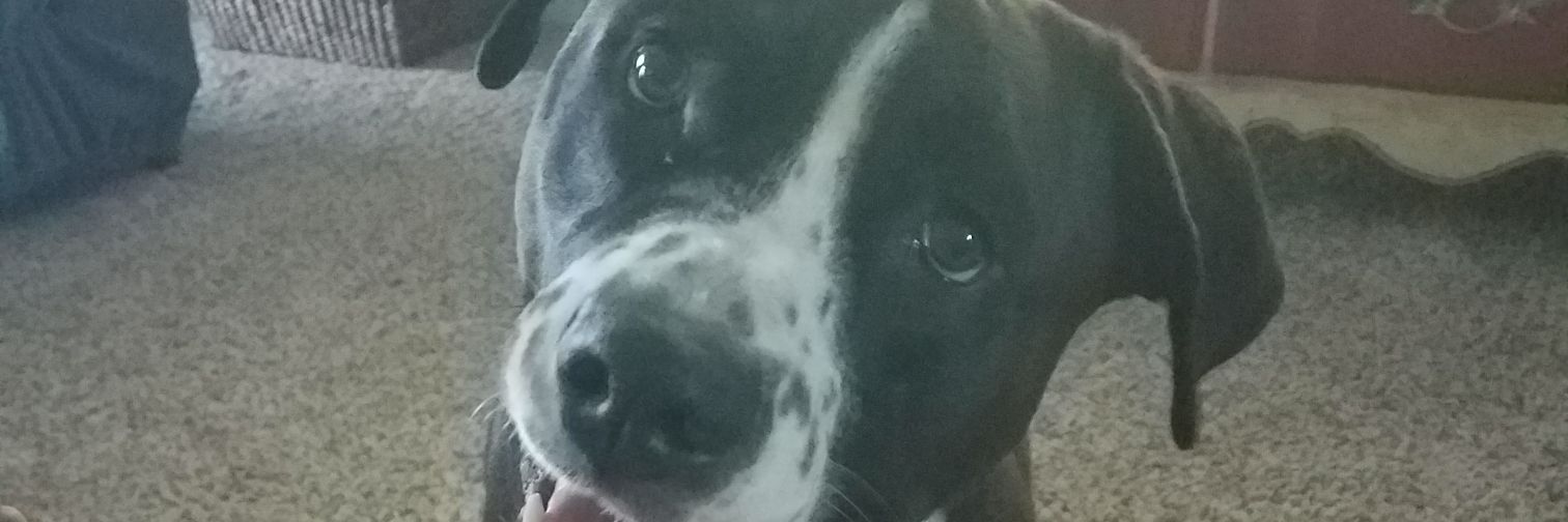 Eric 🇺🇲 banner