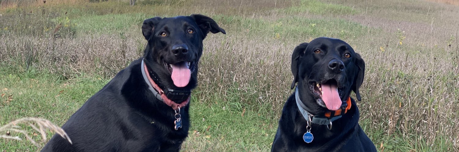 WonderMutt20's profile banner image