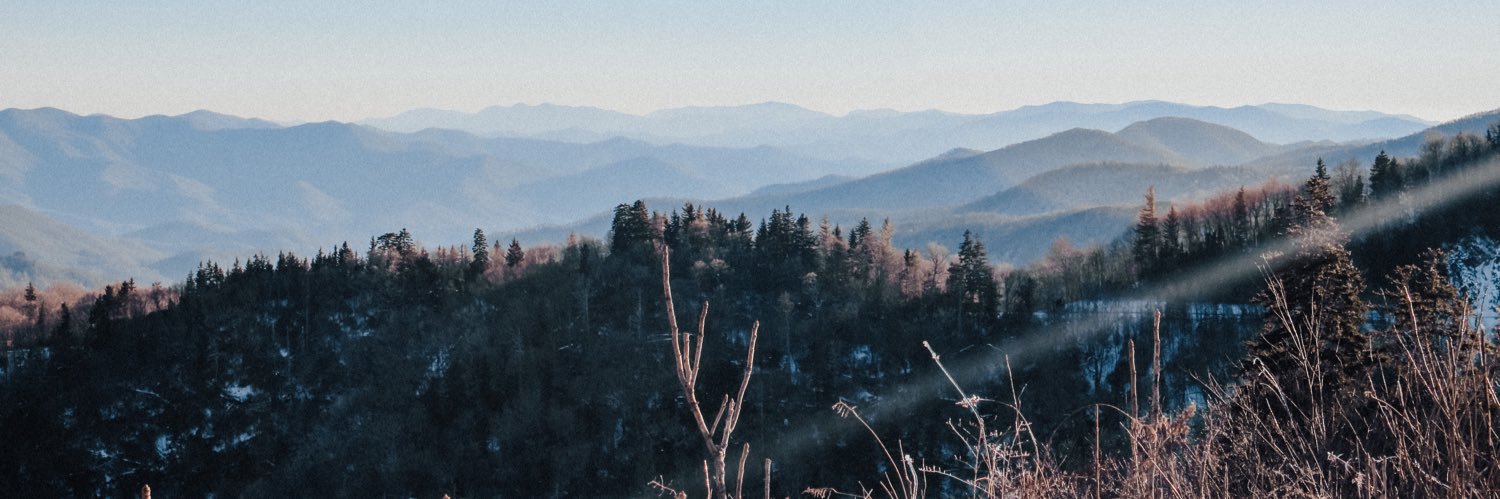 EmilyStratton1's profile banner image