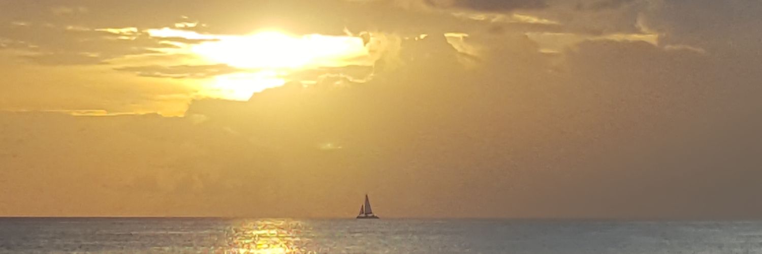 clangston2's profile banner image