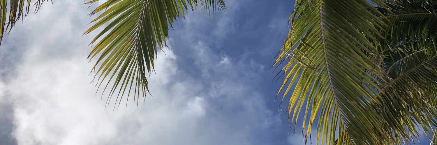 Hailey0529's profile banner image