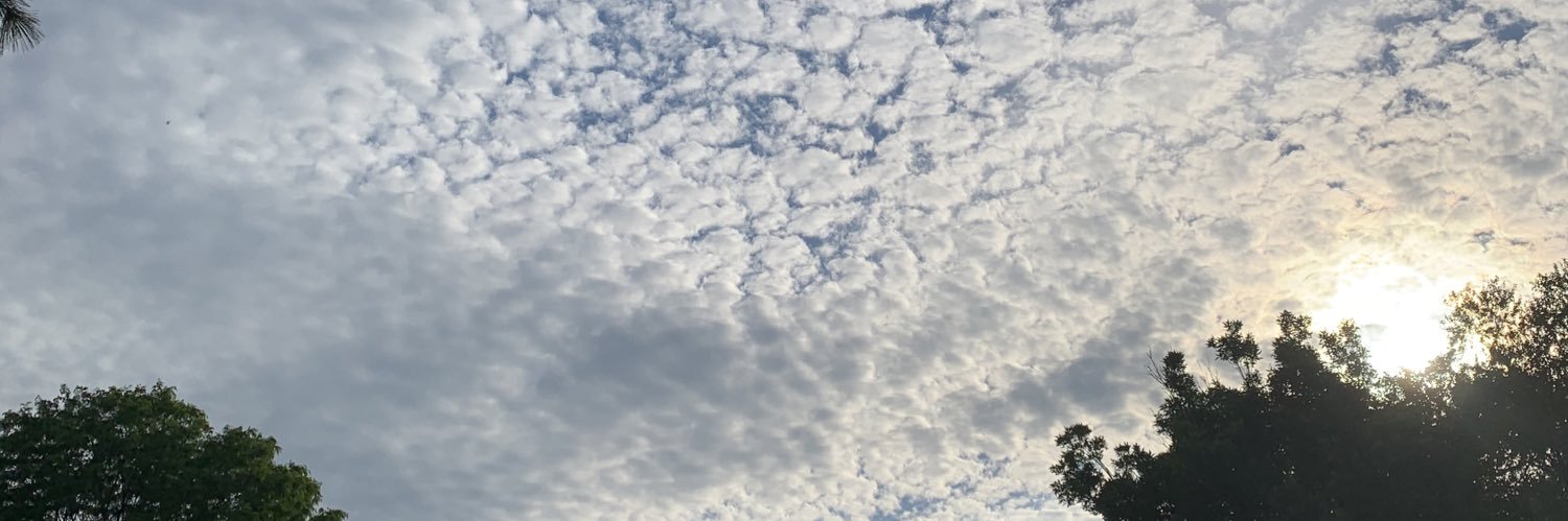 mmyeakey's profile banner image