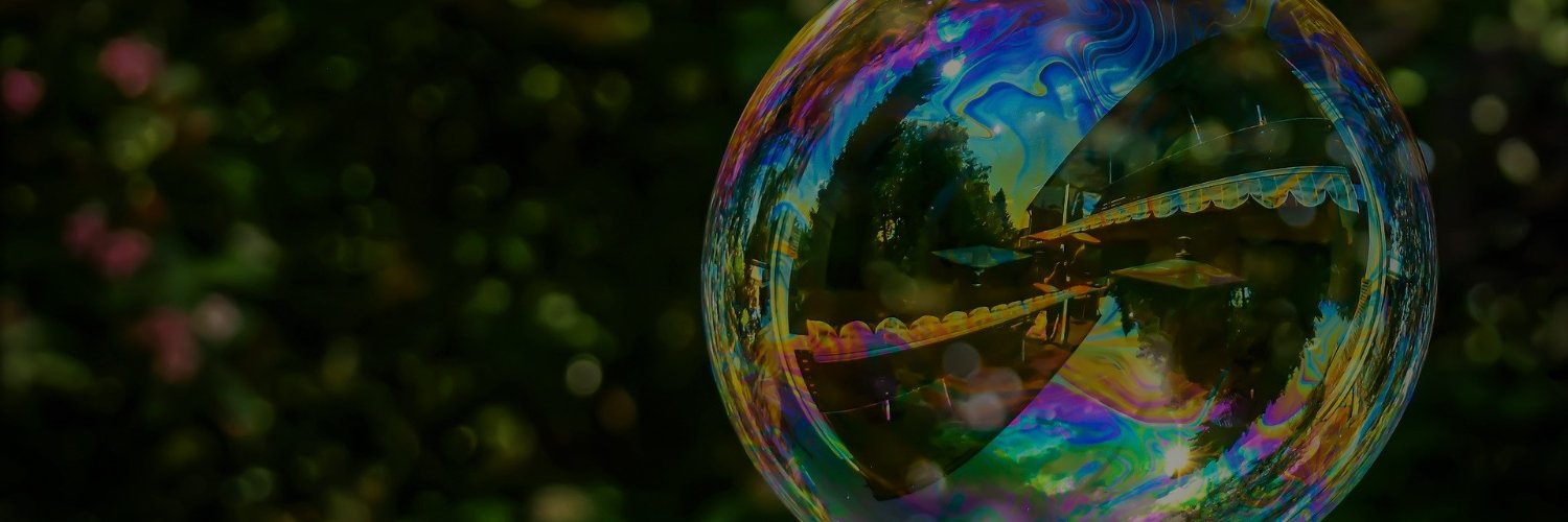 dorothee tagnon banner