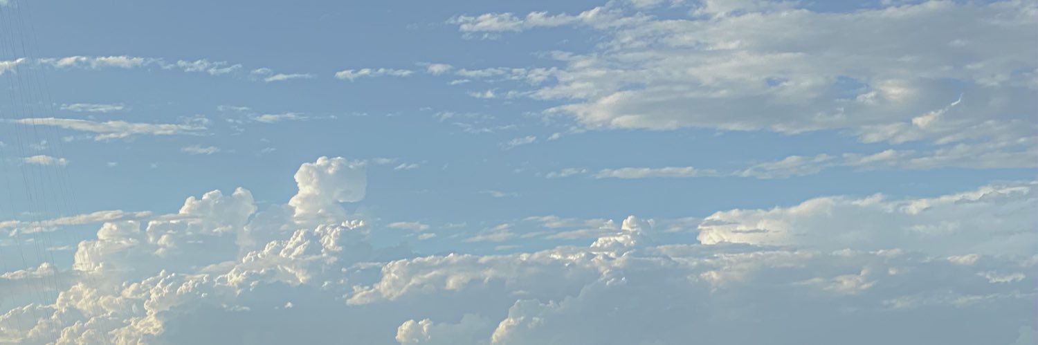 Brunoide banner
