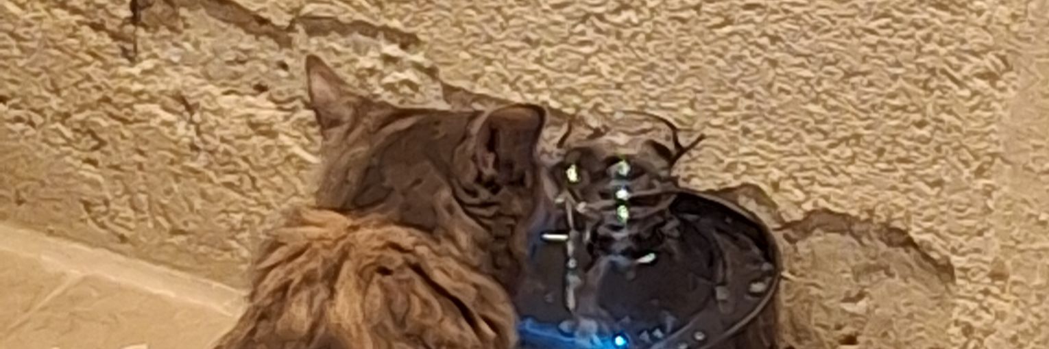 damuag's profile banner image