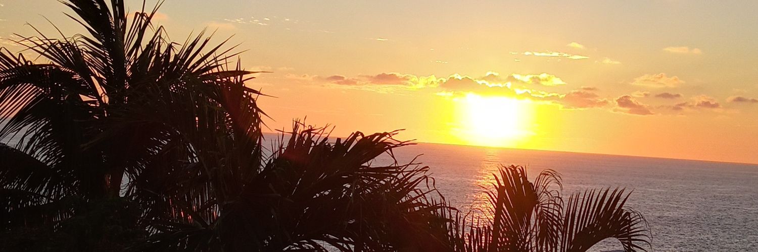 lucyeg51's profile banner image