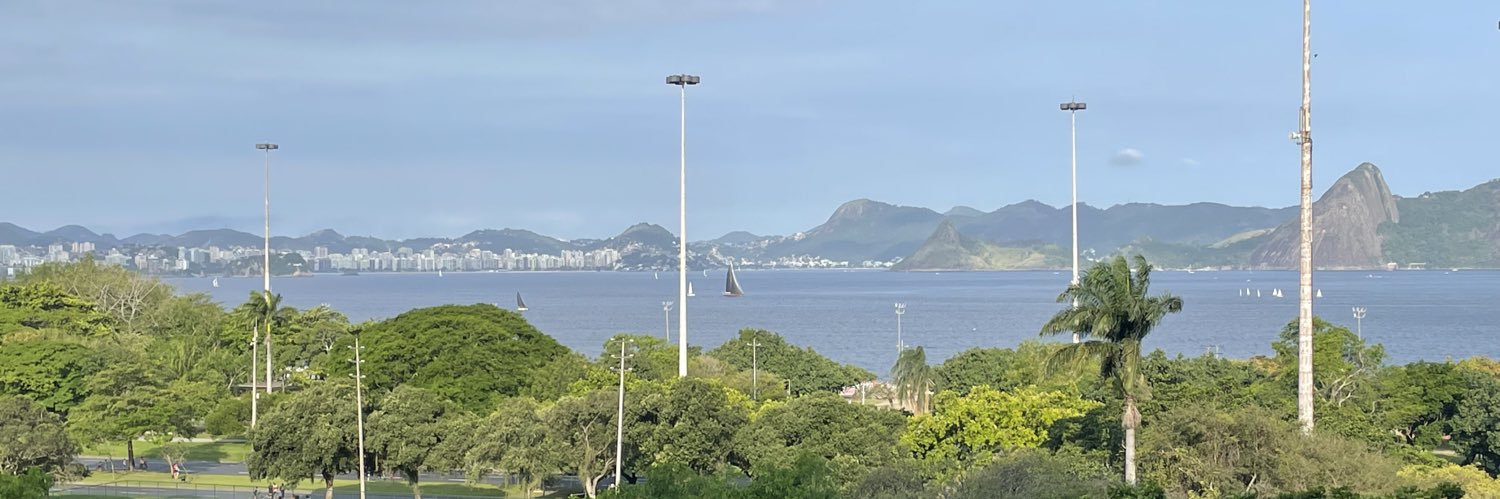 Lise Sedrez - viva a democracia!! banner