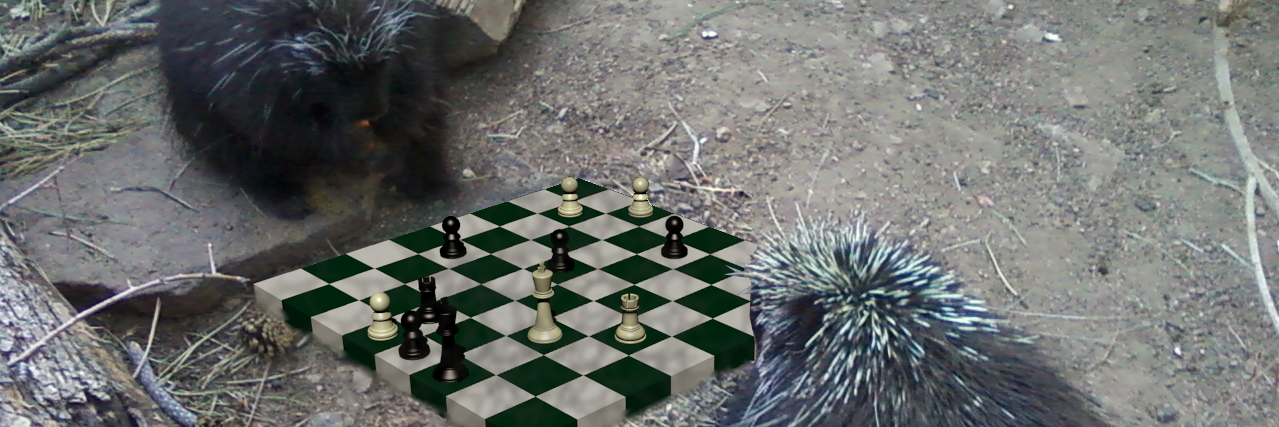 Paul Anderson ♟️ banner