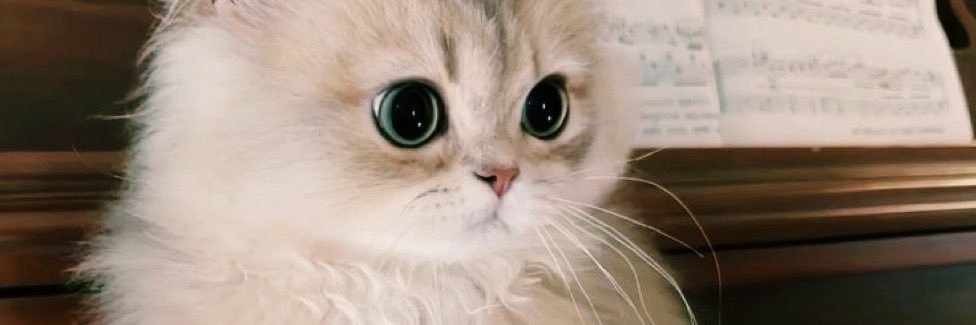 SarahMarafi_'s profile banner image