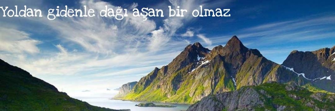 drnturktekin's profile banner image