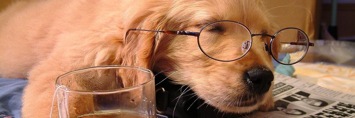 GrKnSn26's profile banner image
