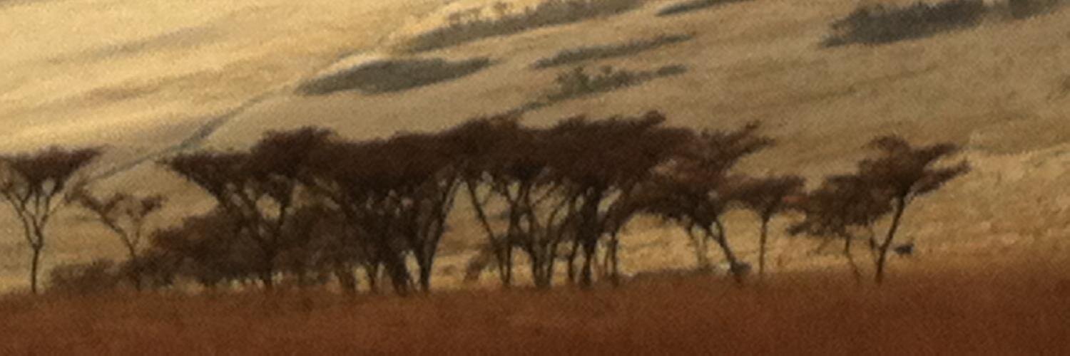 Florence Glanfield banner
