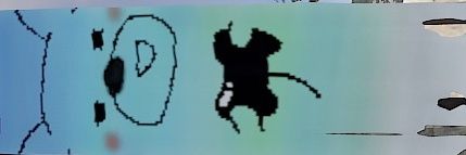 ダージリン banner