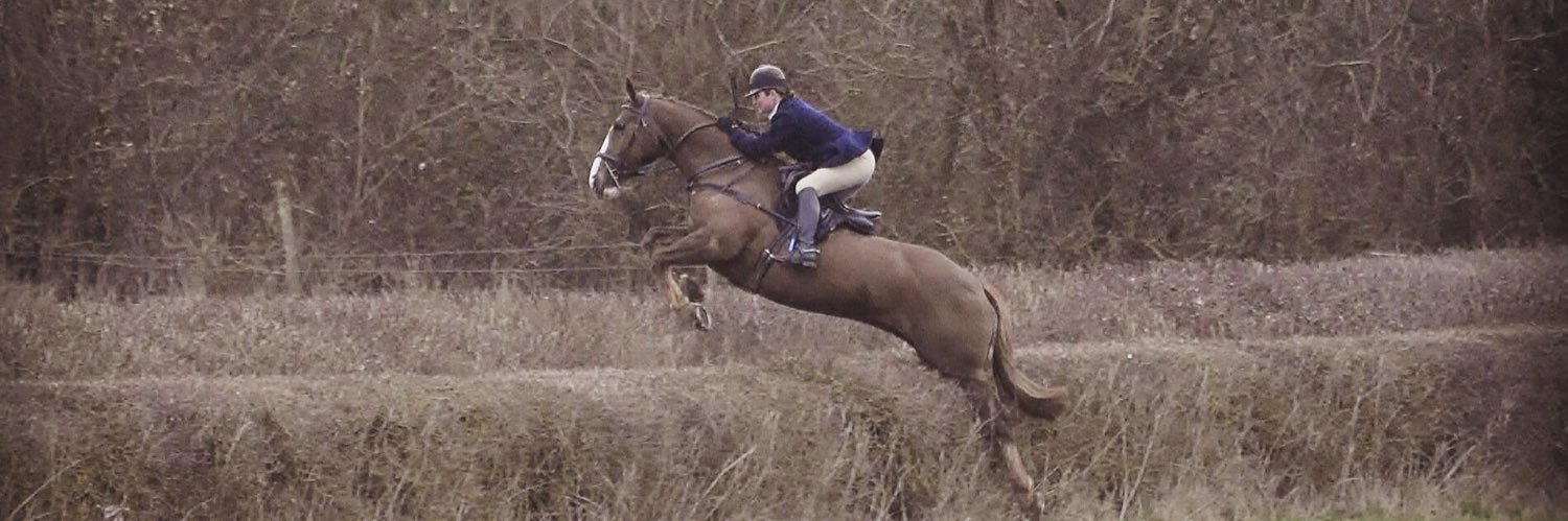 Alice Pearson banner