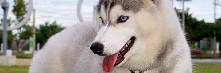 AnaLascarro's profile banner image