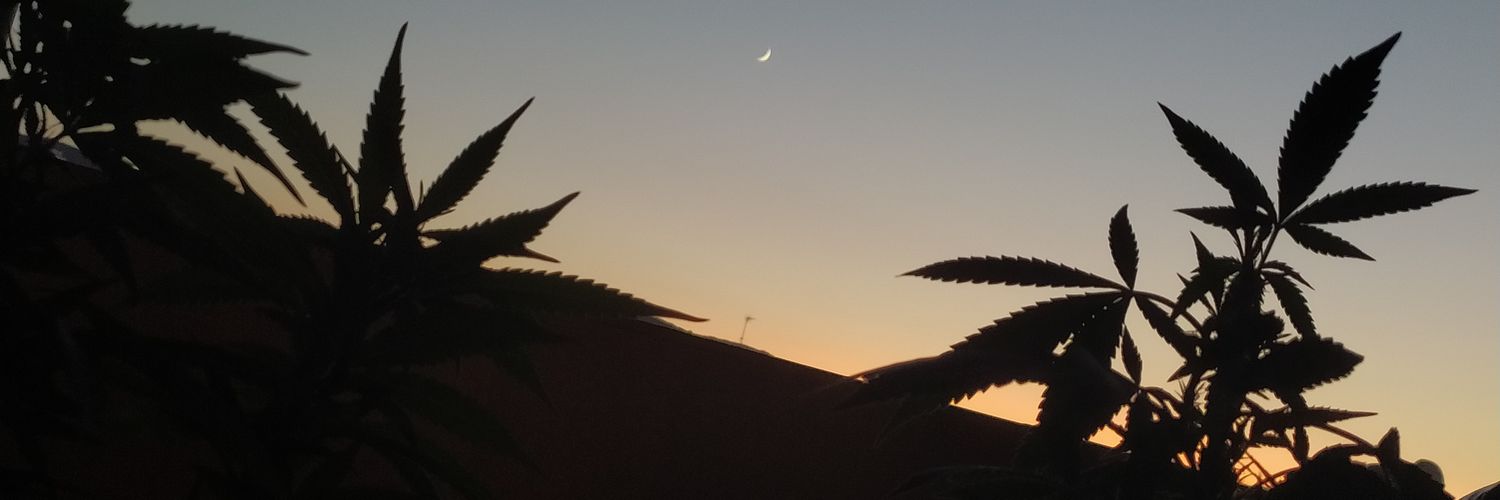 crisbermor's profile banner image