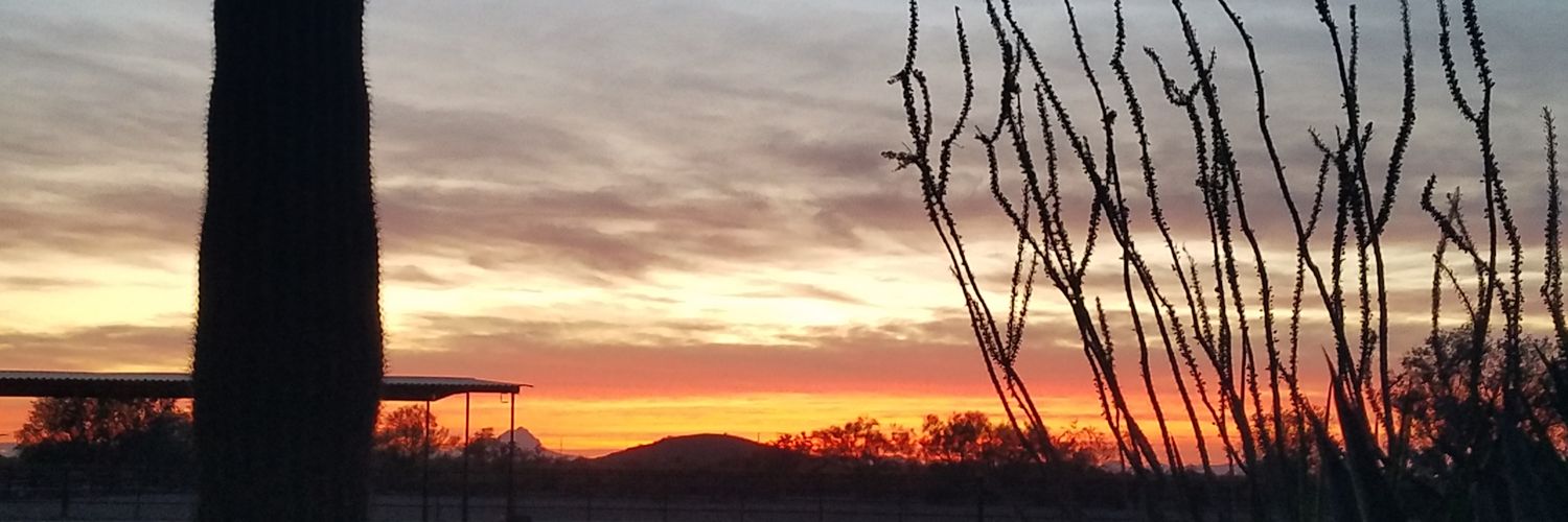 PamelaMoyer's profile banner image