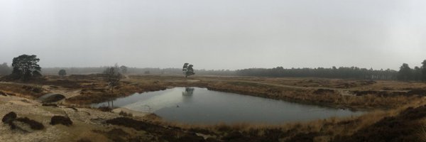 44milan Profile Banner