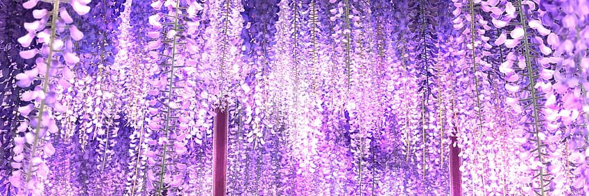 Nina_Chantol's profile banner image