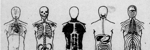 doutorferro's profile banner image