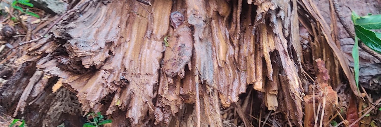 gersc's profile banner image