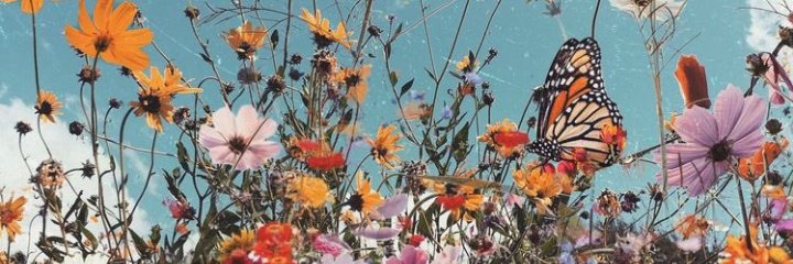 daycorrea1's profile banner image